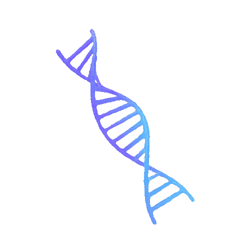 DNA Animation